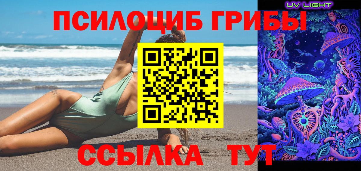 Псилоцибиновые грибы Cubensis Славянск-на-Кубани