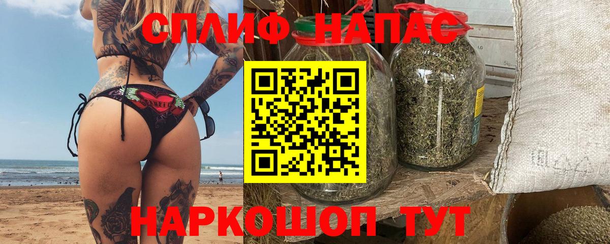 Каннабис индика Славянск-на-Кубани